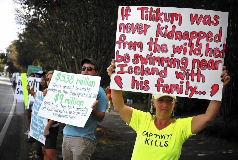 SeaWorld Protesters