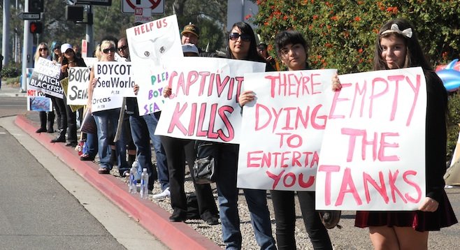 Protesters overwhelmed by SeaWorld not officially closing.