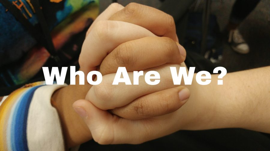 Who Are We? An Inside Look on Diversity