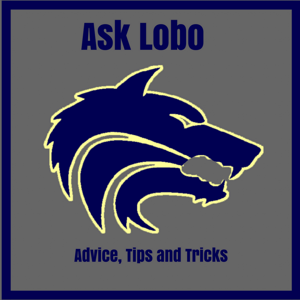 Dear Lobo