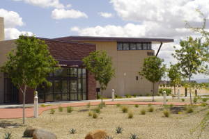 Avondale Public Library where you can go and Volunteer