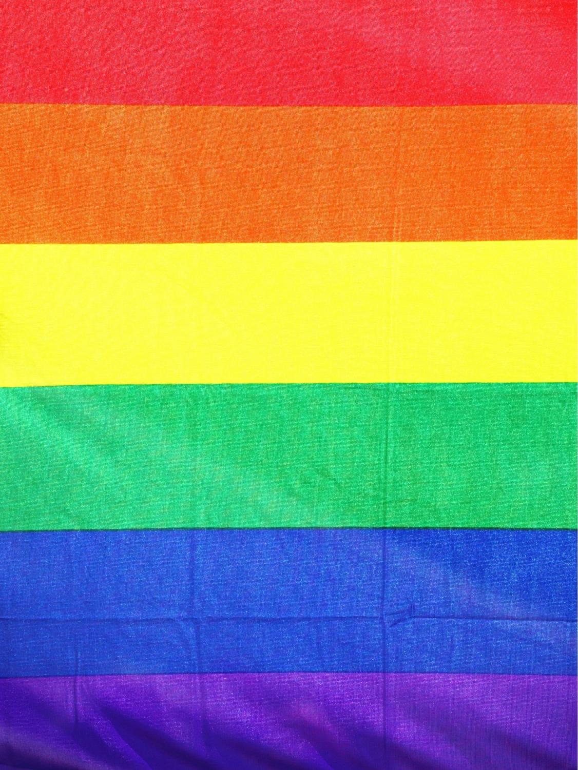 Multi-Colored Pride Flag