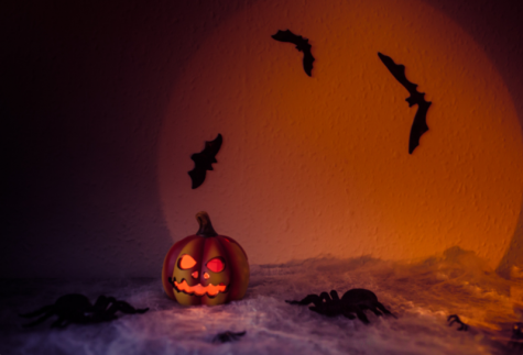 Pumpkin with bats in the background