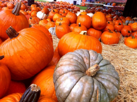 Pumpkins stacked on top of each other with one silver pumpkin on the left side of the picture