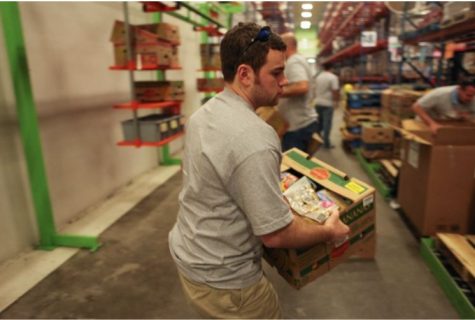 Someone at a food bank holding a box full of food