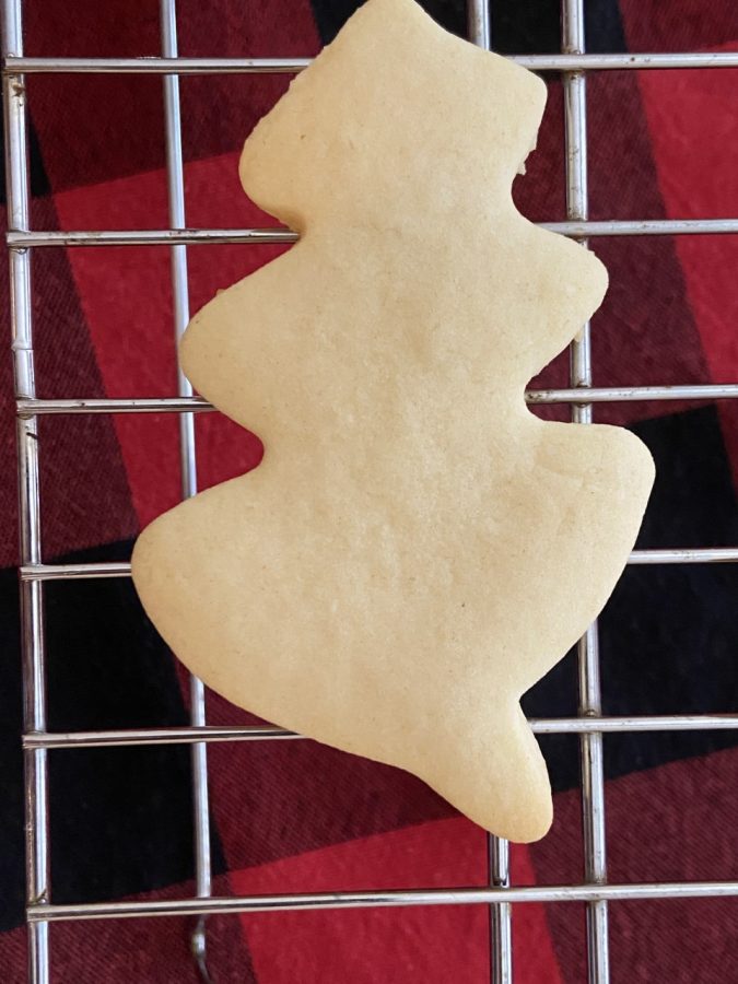 A tree shaped sugar cookie