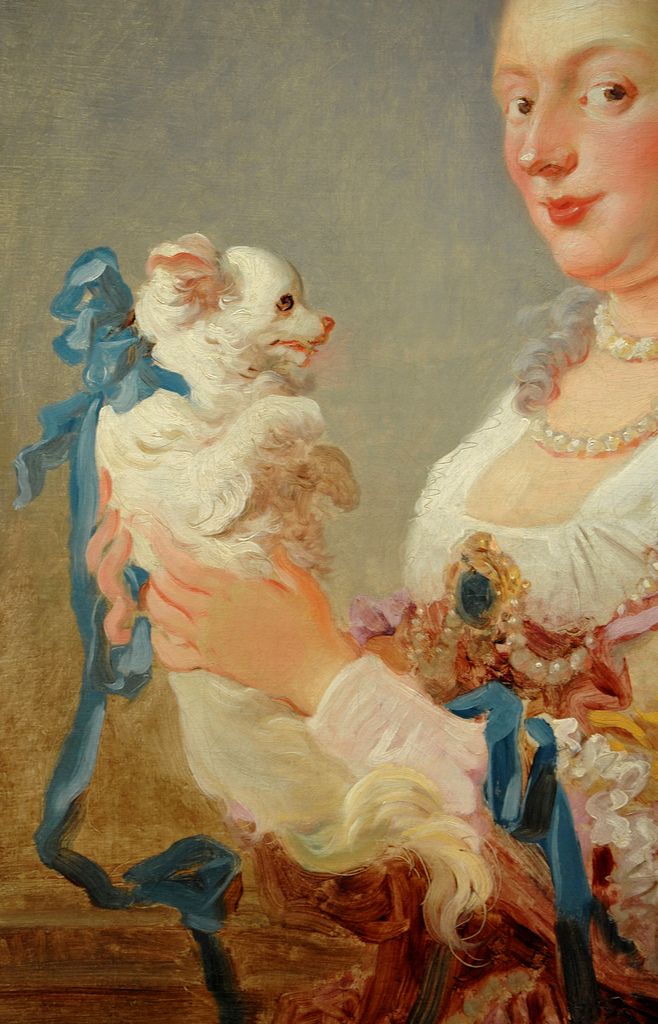Portrait of a Woman with a Dog
Honore Fragonard