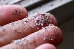 Microplastic problems