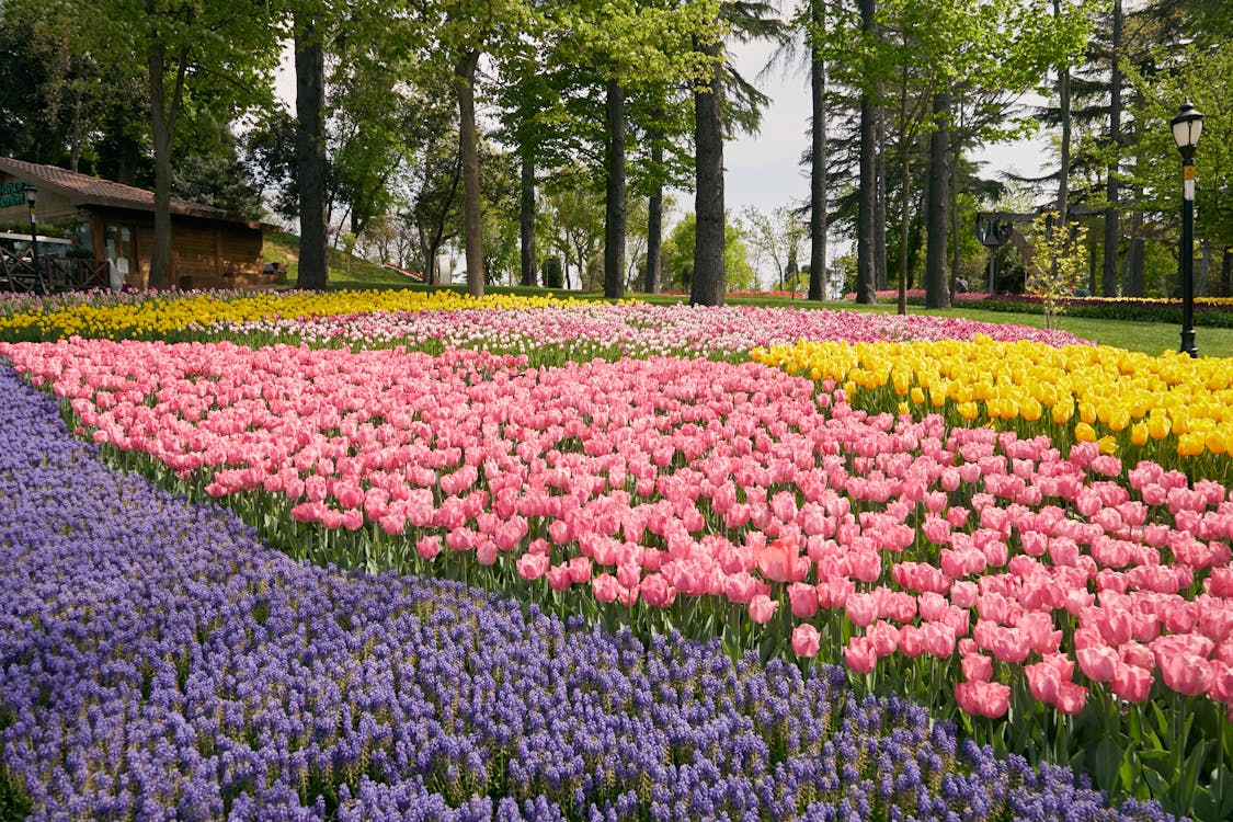 Spring, The Final Stretch